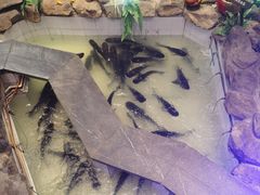 -春盛渔府(牛首山店)