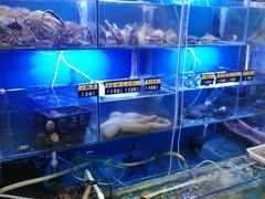 水产区-金龙·打边炉(武进路店)