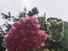 -南宁南湖公园