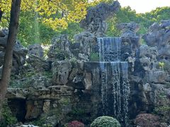 -上海鲜花港