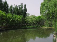 -大兴滨河森林公园