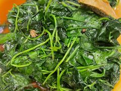 -小春农家乐
