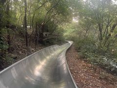 -富斯特索道