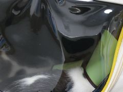 -嘉馨宠物医院·CT影像转诊·心脏科·犬猫全科诊疗中心(下沙大学城院区)