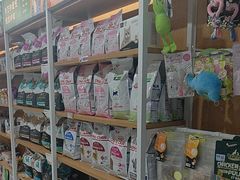 -艾贝尔宠物医院·24H转诊中心·肿瘤猫专科(江宁双龙店)
