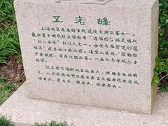 -上海方塔园