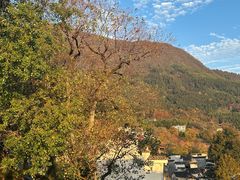 -塔川景区