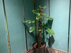 -湘轩·土菜研究院(光大店)