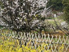 -龙寺生态园