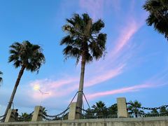 -宝安西湾红树林湿地公园