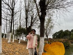 -艾溪湖湿地公园