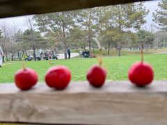 -龙熙温泉高尔夫俱乐部