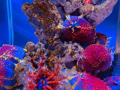 -太平洋海底世界