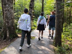 -汤旺河林海奇石景区