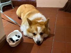 -肥朵食堂(带梦胡同店)