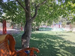-宠物寄养训练学校