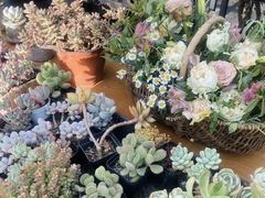 -北马山庄植趣咖啡