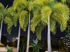 -鱼当家美蛙鱼头(天瑞·万象城店)