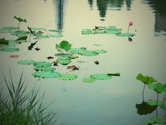 -中关村生命科学园