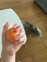 -JX今喜美甲美睫