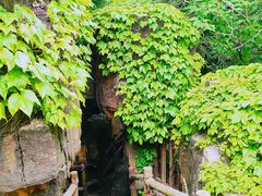 -游龙石文化科普馆