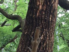 -西湖外事游船(湖滨二公园外事游船码头)