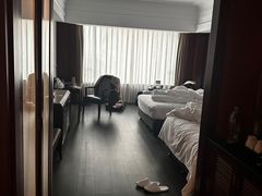 -上海圣淘沙万怡酒店