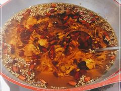 -雲蜀龙阁·金牌水煮鱼(方庄店)