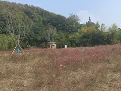 -南北湖风景区
