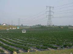-紫颐香薰山谷景区