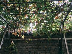 -伊隆斋(什刹海店)