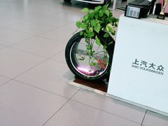 -协通上汽大众(崇明店)
