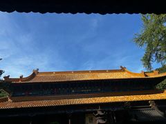 -普陀山风景名胜区-法雨禅寺