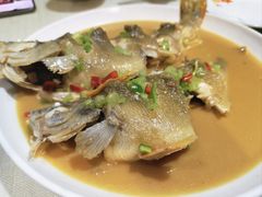 -瑞琳阿尔泰冷水鱼(于田街店)