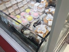 -阿可米朵动物奶油生日蛋糕(东特店)