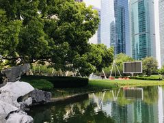 -陆家嘴中心绿地