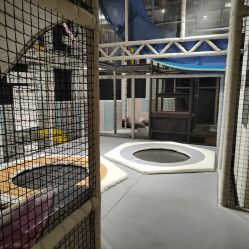 -meland club亲子乐园(重庆万象城店)