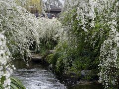 -中国茶叶博物馆(双峰馆区)