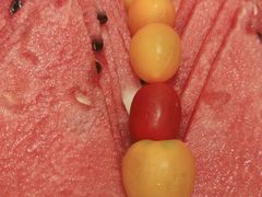 -紫光园·烤鸭·北京菜(劲松店)