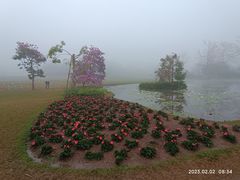 -中国科学院西双版纳热带植物园