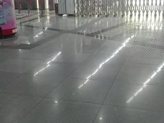 -东方体育中心(地铁站)