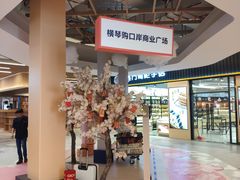 -横琴购口岸商业广场