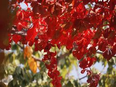 -北京金海湖景区