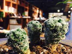 -403国际艺术中心