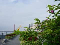 -秦皇岛路游船码头