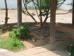 -无锡动物园·太湖欢乐园