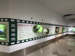 -上海昆虫博物馆