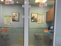 -纳吉亚猫专科动物诊疗中心(蒋宅口分院)