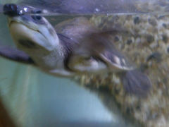 android_upload_pic-上海大自然野生昆虫馆