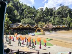 -西双版纳原始森林公园